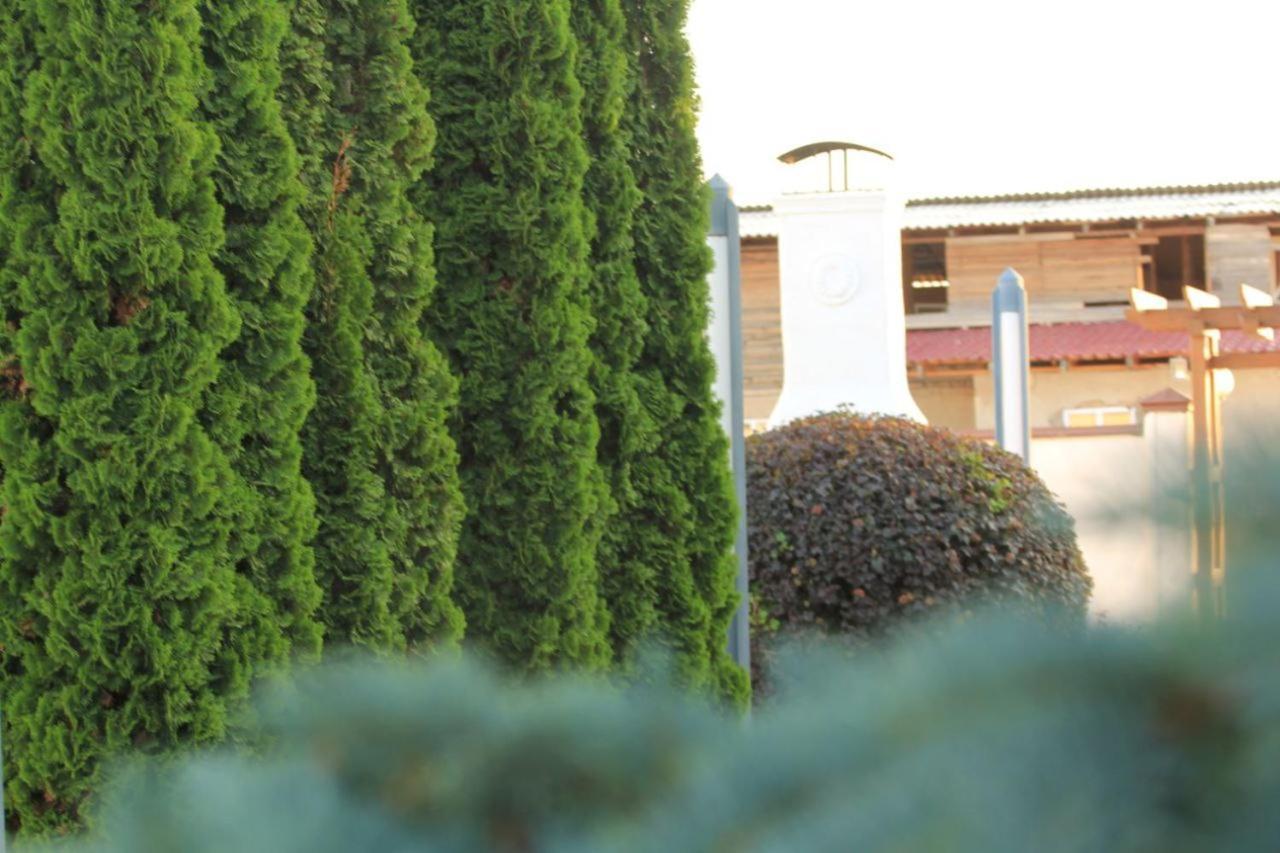 Hotel Chebak Ranch Tamchy Esterno foto